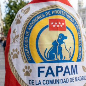 BANDERA FAPAM